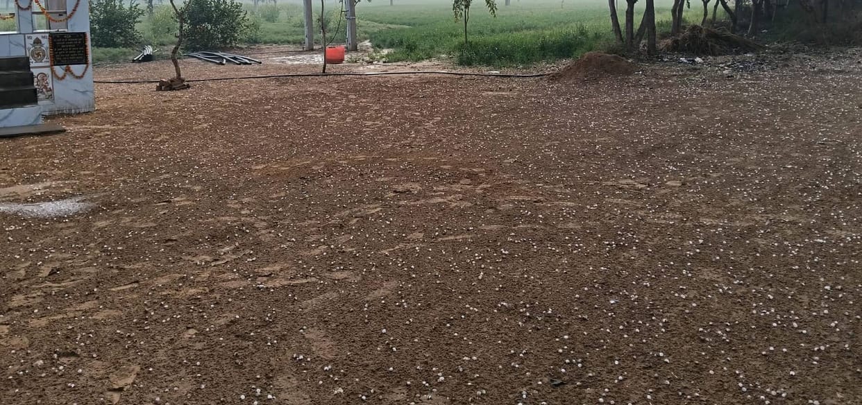 Three days of frost and hailstorm have caused damage to standing crops spread over 3.50 lakh acres.