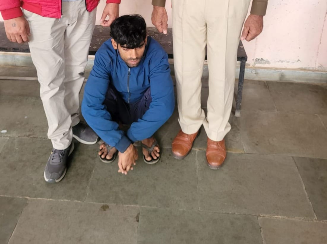 Member of interstate gang of thieves arrested