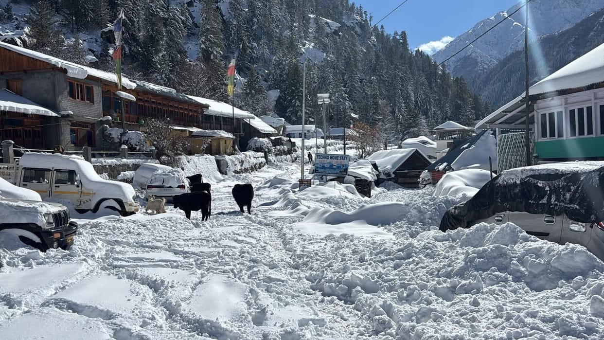 Bus services are not running on Kullu, Mandi, Rampur-Rohru, Nankhari routes