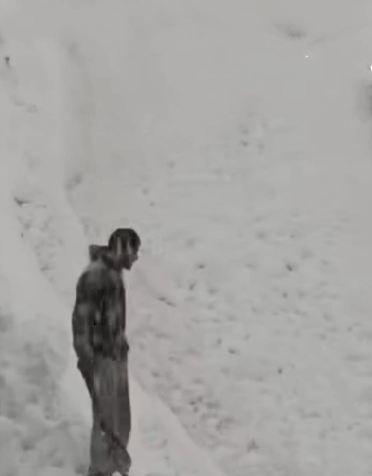 Avalanche in Bharmour's Oat, Sukhai Nala of Pangi, two vehicles loaded with ration buried, three shops damaged