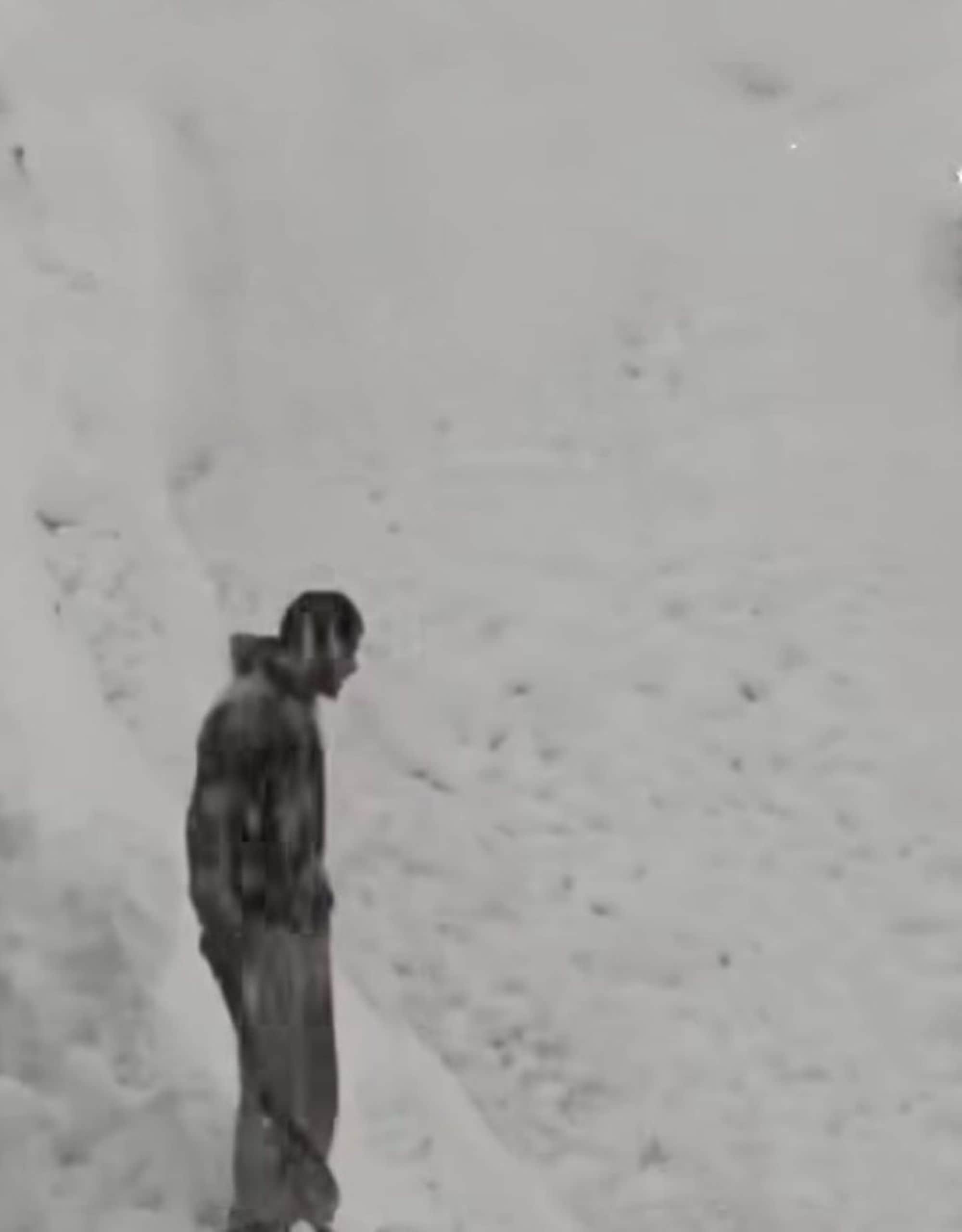 चंबा में पांगी के मिंधल पंचायत के सुखाई नाला में पानी की तरह बहता बर्फ। स्रोत :वीडियो ग्रैब