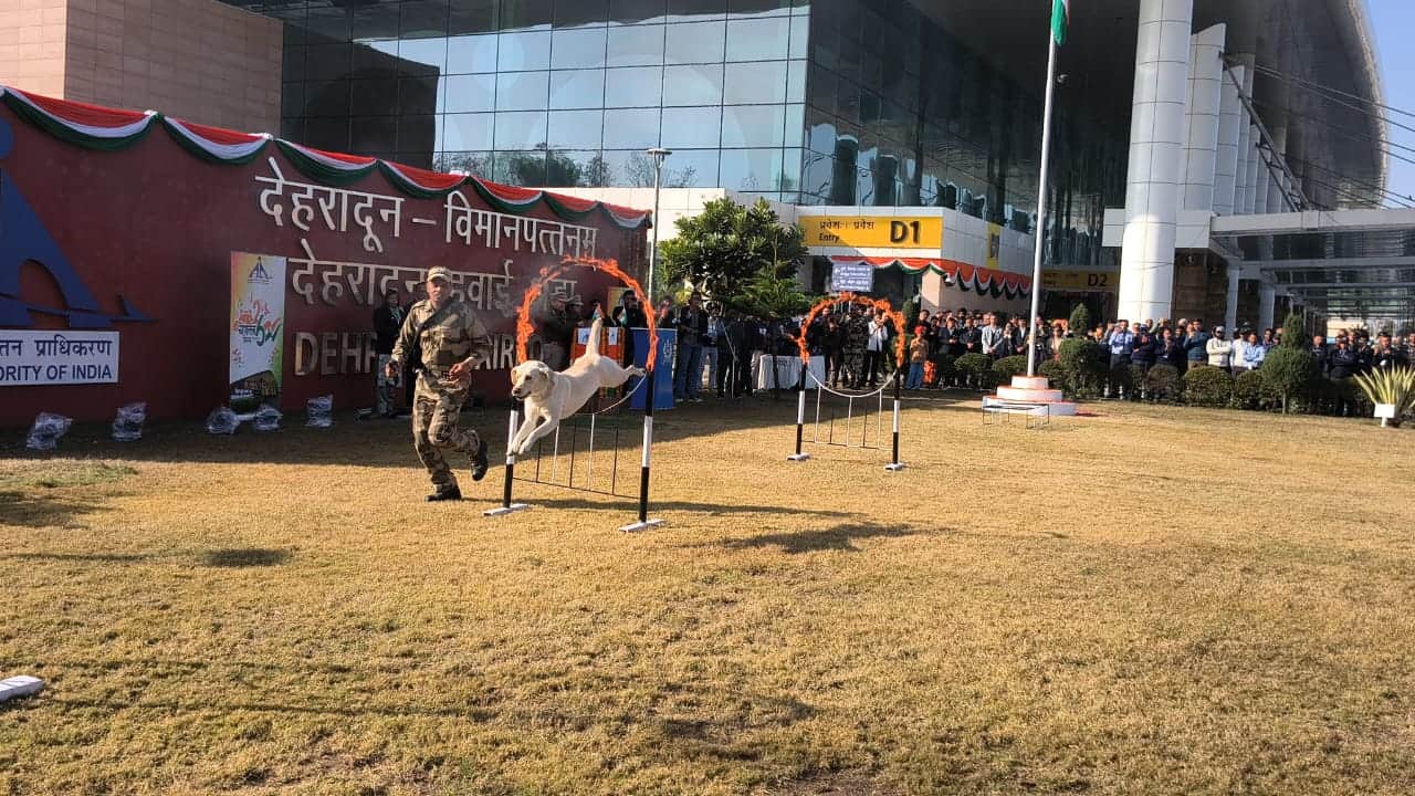 एयरपोर्ट पर करतब दिखाता डॉग स्क्वाड: संवाद