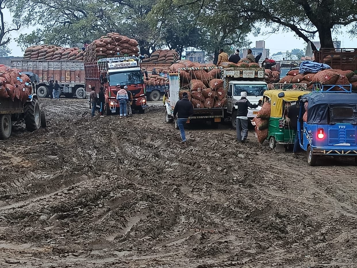 Traders are troubled by mud in the pea market