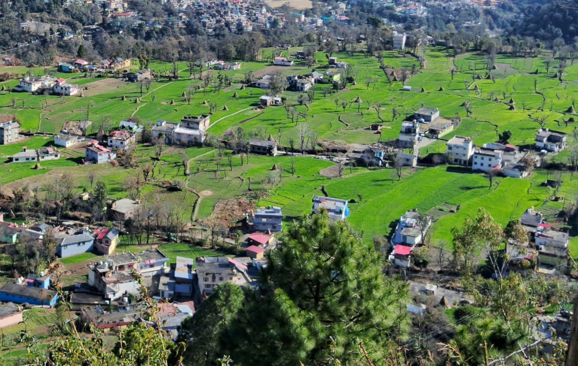 हरियाली से भरे चंबा के मंगला गांव का दृष्य।संवाद