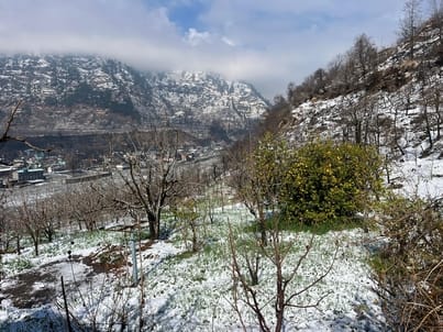 White silver rained as a relief for farmers and gardeners