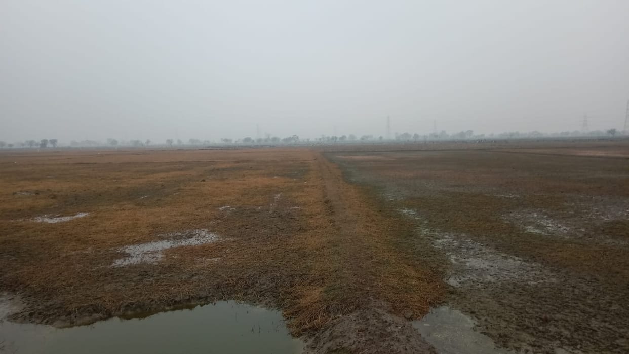 Hundreds of acres of land in Ghandi Nandu and Jindpura are barren due to waterlogging.