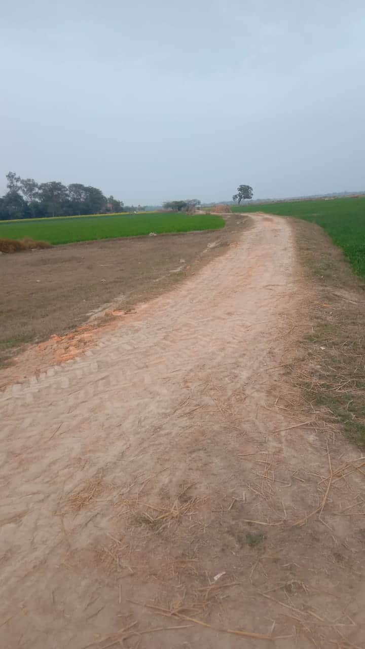 निर्माण के लिए प्रस्तावित गौरीगंज के बस्तीदेई स्थित मथुरा सोनार संपर्क मार्ग। 