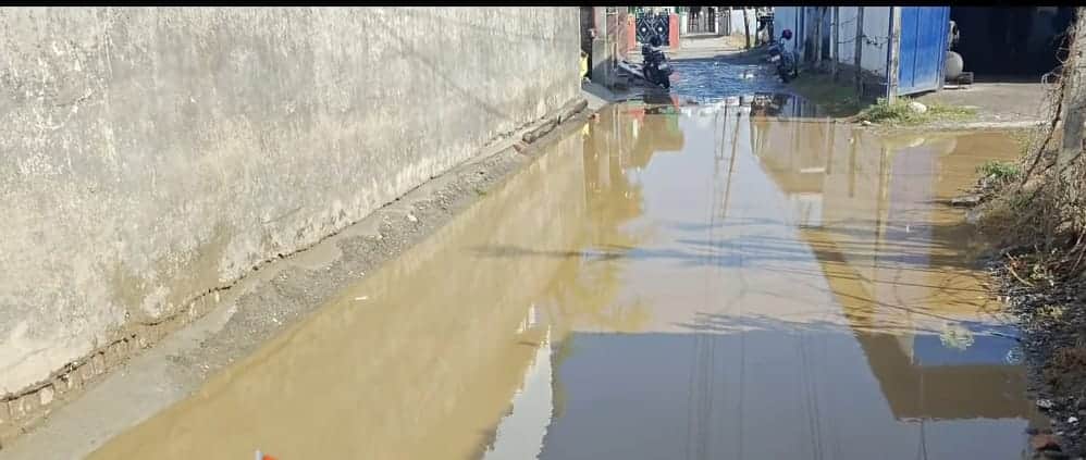 पांवटा साहिब  नगर परिषद के वार्ड-13 में बैंक कॉलोनी  में जल  भराव की समस्या: संवाद