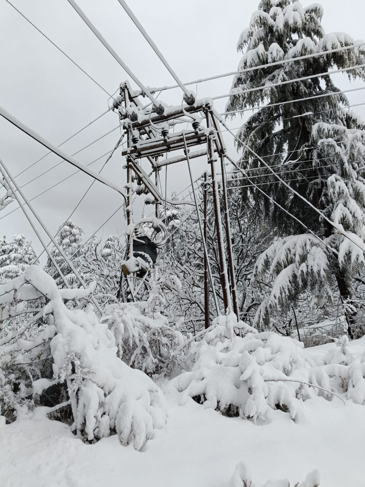 147 transformers shut down in Rampur, lines damaged at many places
