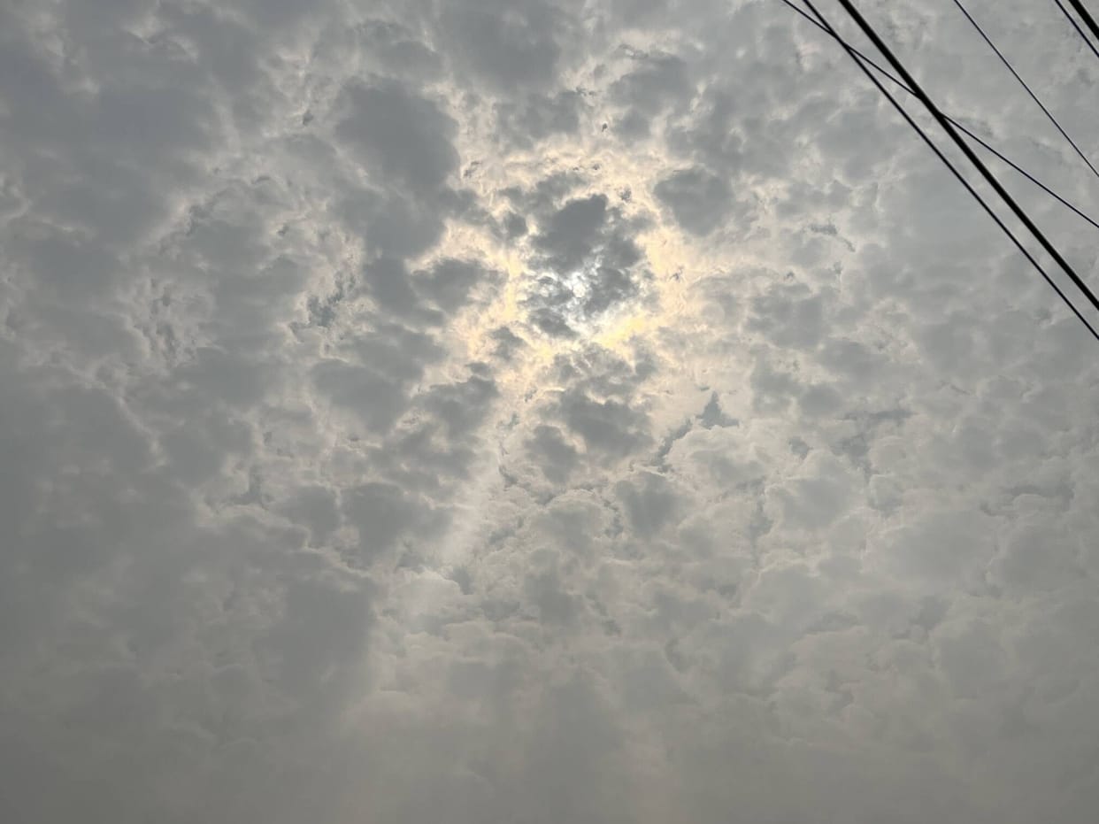 Wind blew at a speed of 10 kilometers per hour, drizzle brought down the mercury.