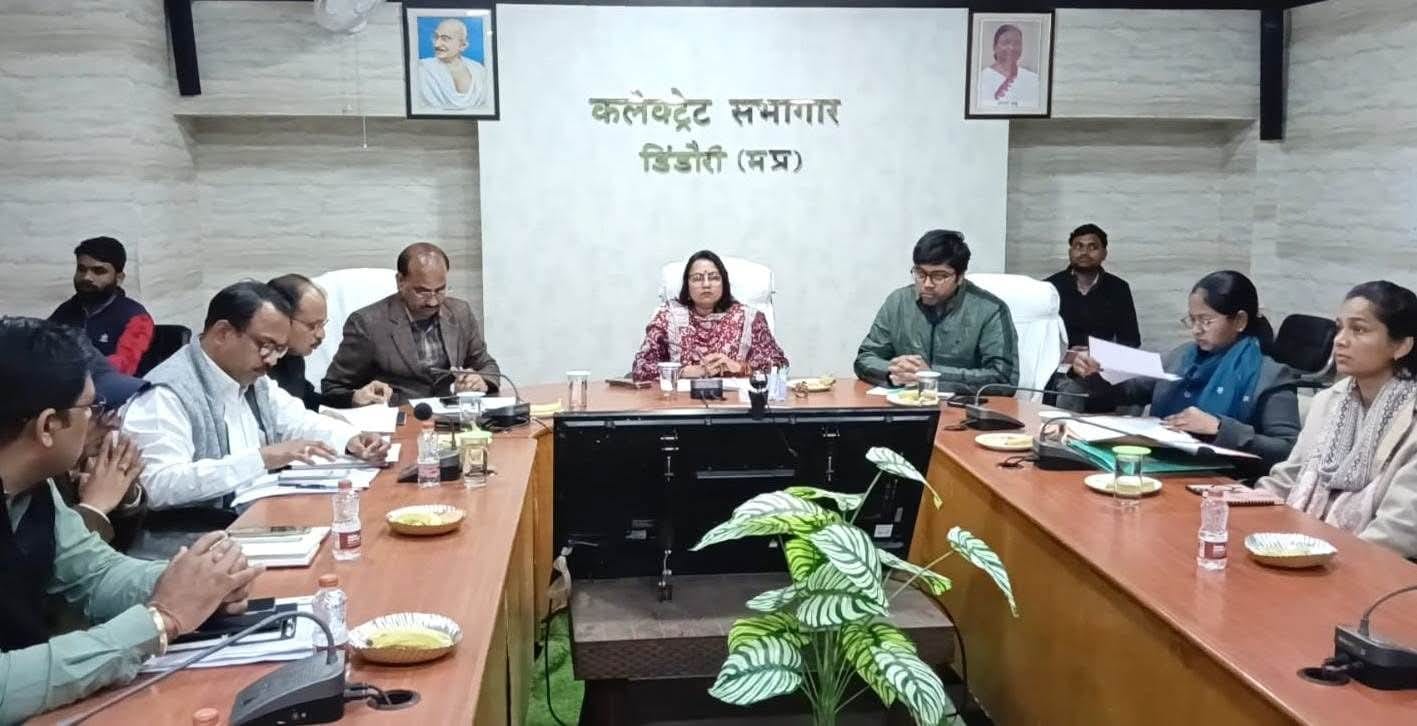 एक्शन मोड में कलेक्टर