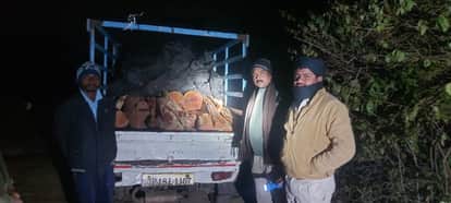 Shahdol News: Forest department takes major action, seizes vehicle loaded with acacia wood.
