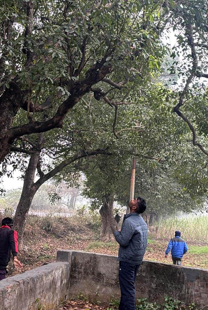 खुर्जा में विधुत लाइन की मरम्मत करते विभाग के कर्मचारी। स्रोत : विधुत विभाग