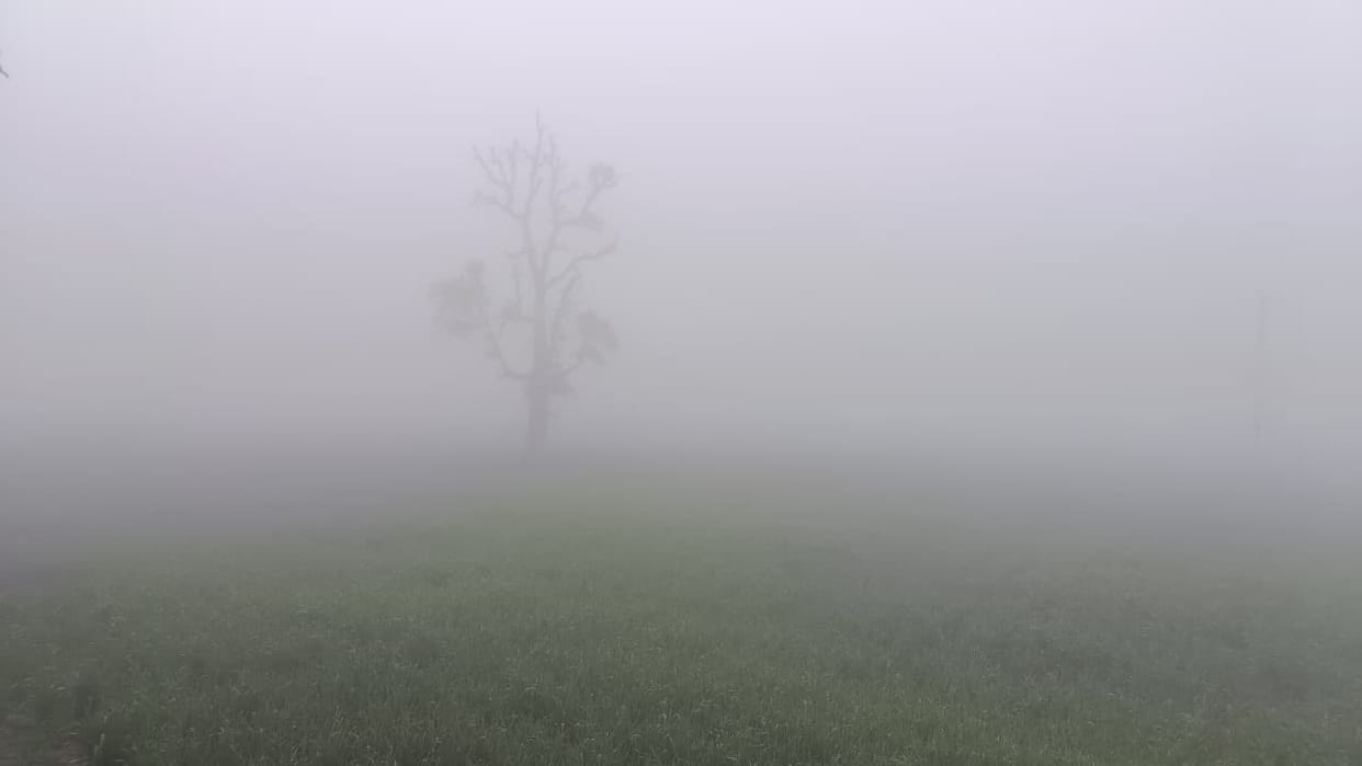 Fog fell like rain, minimum temperature reached 7 degrees