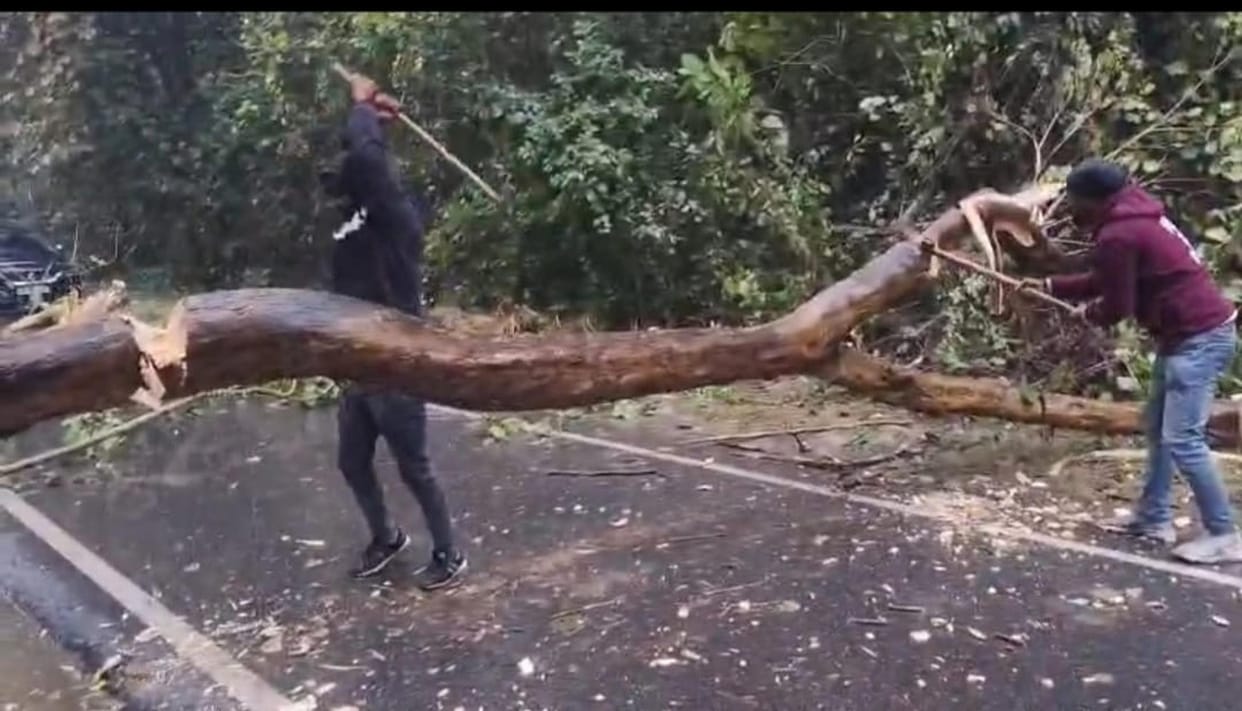 Cold increased due to heavy rain with strong wind