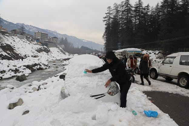 When it rained, the nursery business flourished in Kullu.