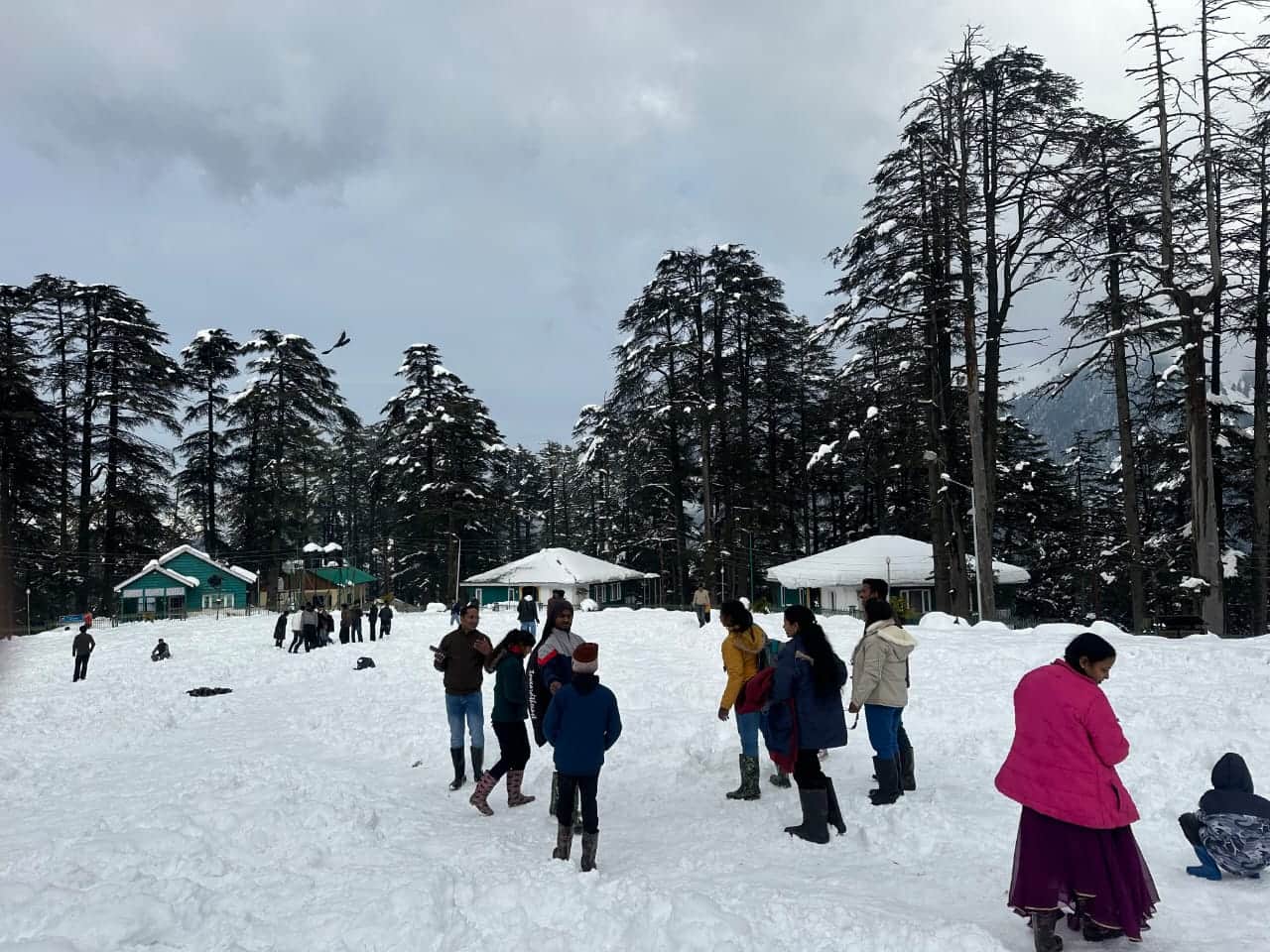 पटनीटॉप की वादियो में बर्फबारी का आनंद उठाते सैलानी।