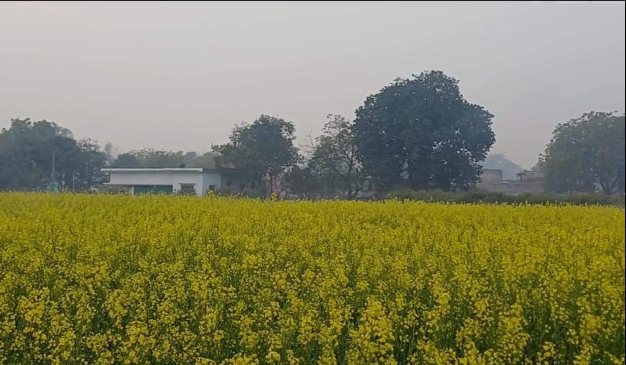 The temperature dropped by two degrees due to drizzle in the morning.