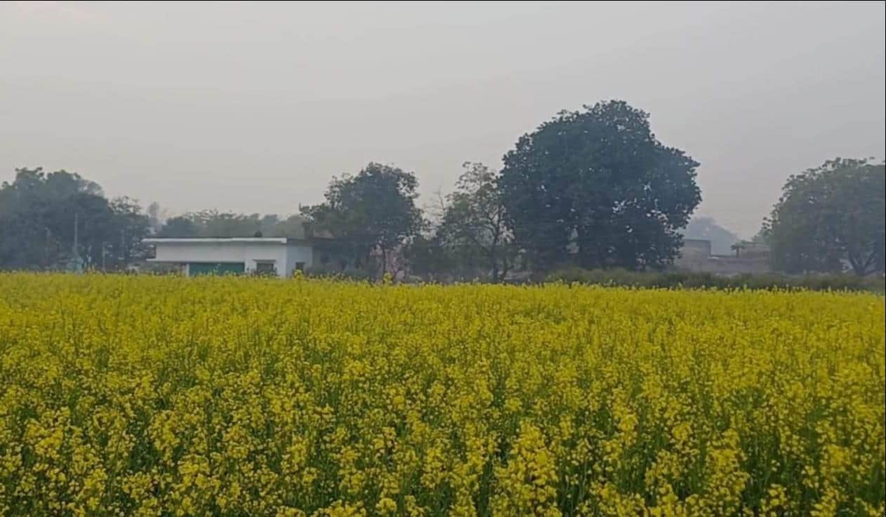 टांडाकला में छाया रहा बादल। संवाद