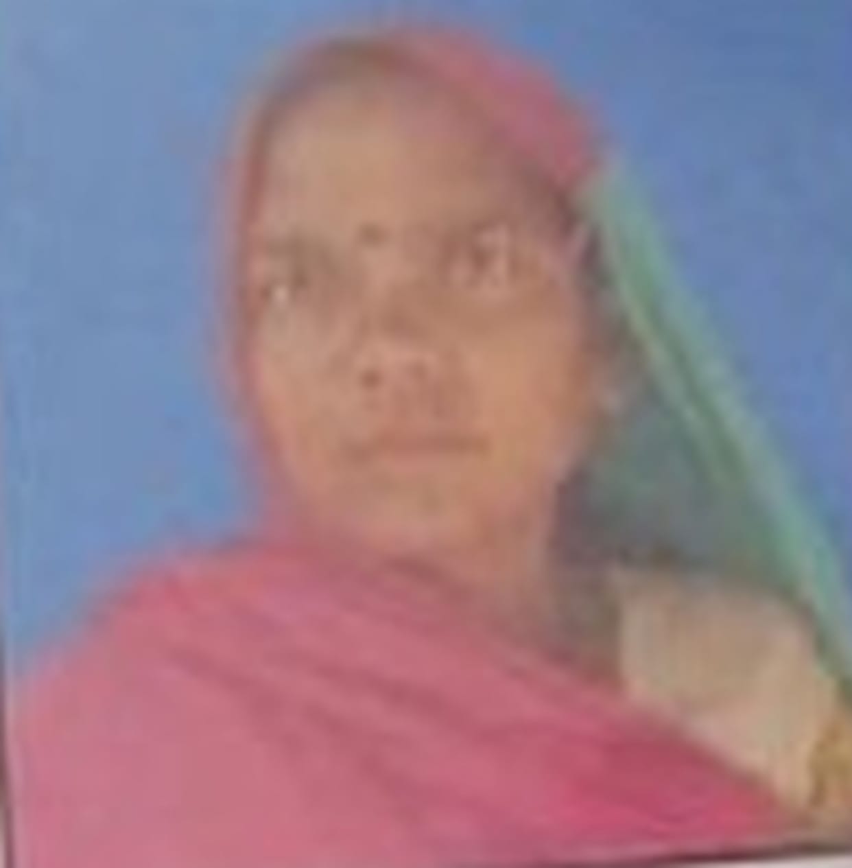 Two women, including a village council member, were killed after being hit by a train.