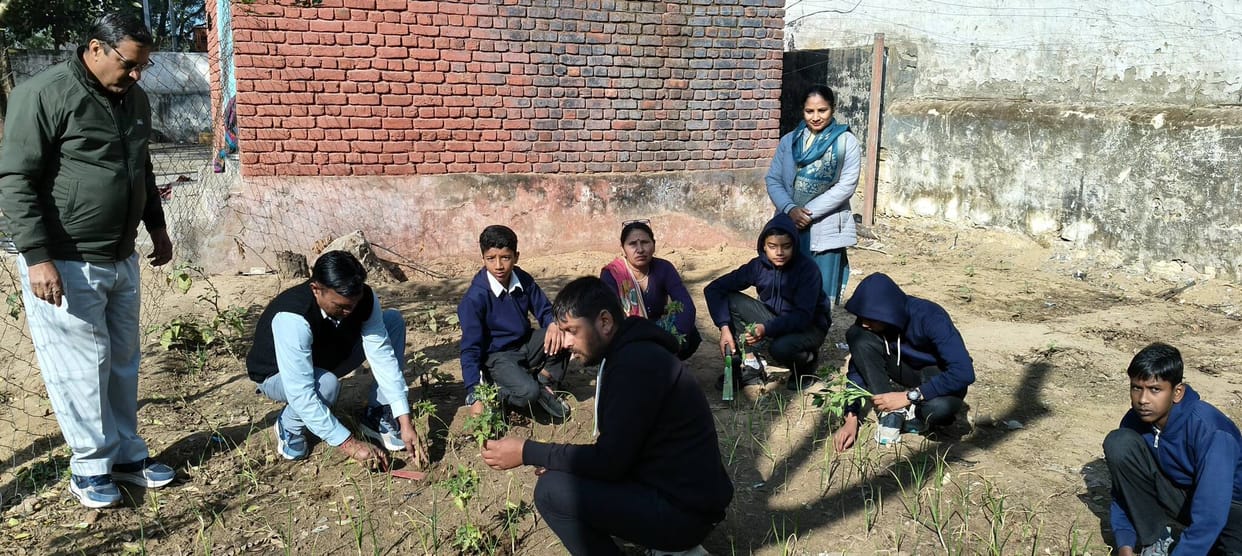 Children were given training in organic farming.