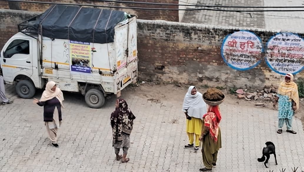 Stray dogs were sterilized and released in another neighborhood, objection was raised