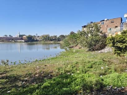 जवाहर पार्क स्थित विदक्यार झील में फैगी गंदगी। संवाद