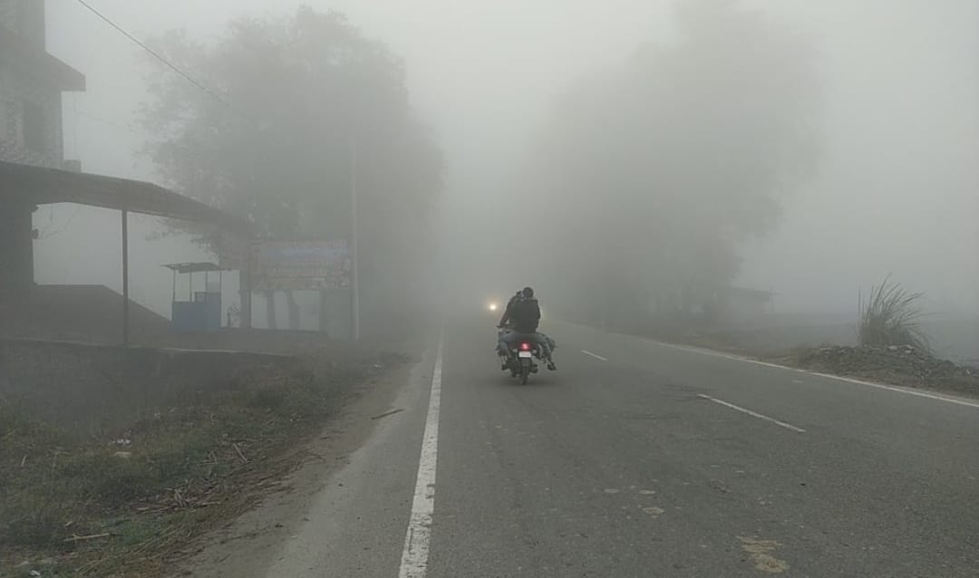 Dense fog impacts road traffic