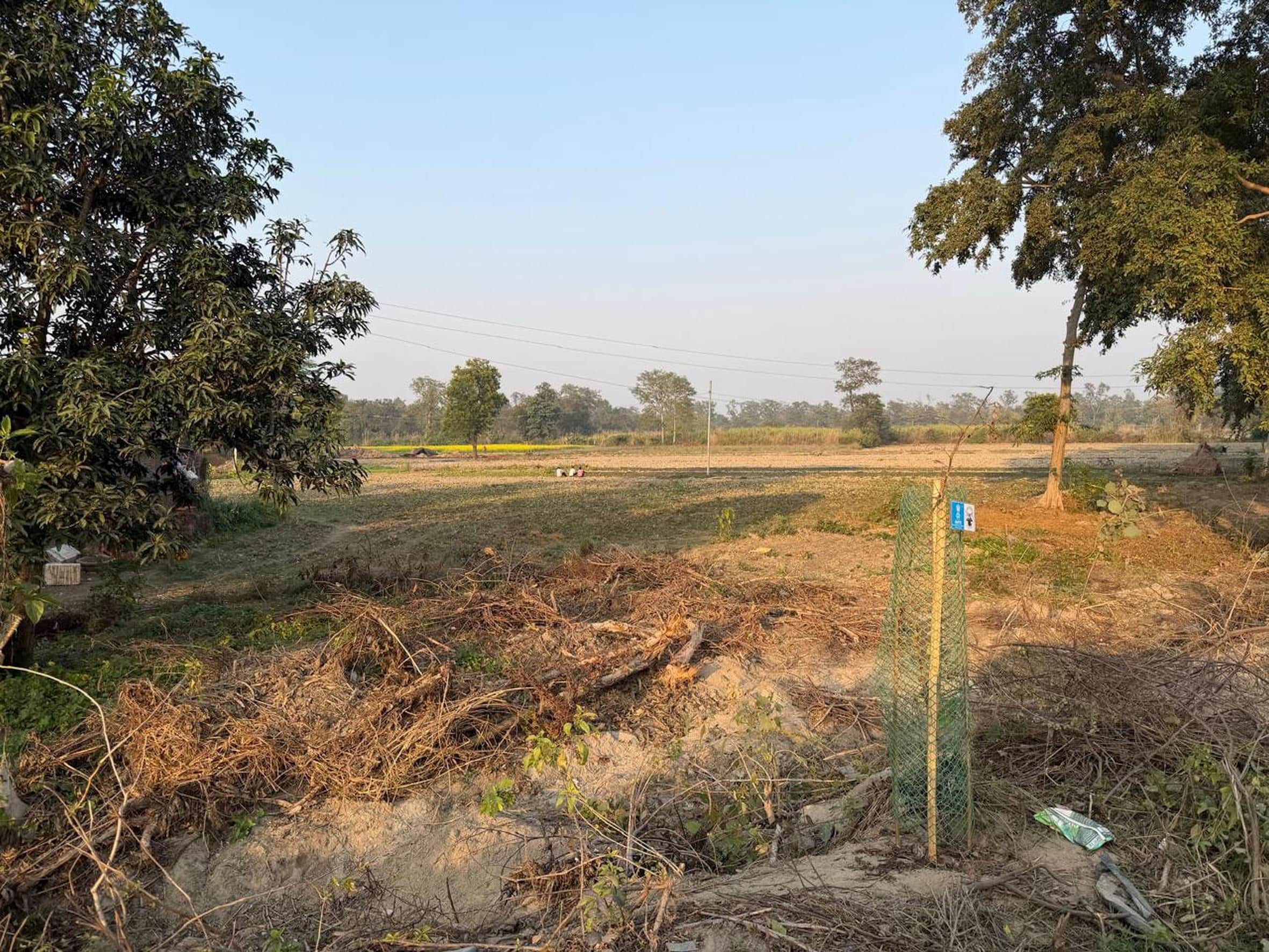 सेमरहना में विस्थापितों के लिए चयनित जमीन। -संवाद