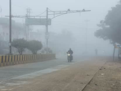 Shahdol Weather Today: After light rain, dense fog has returned.