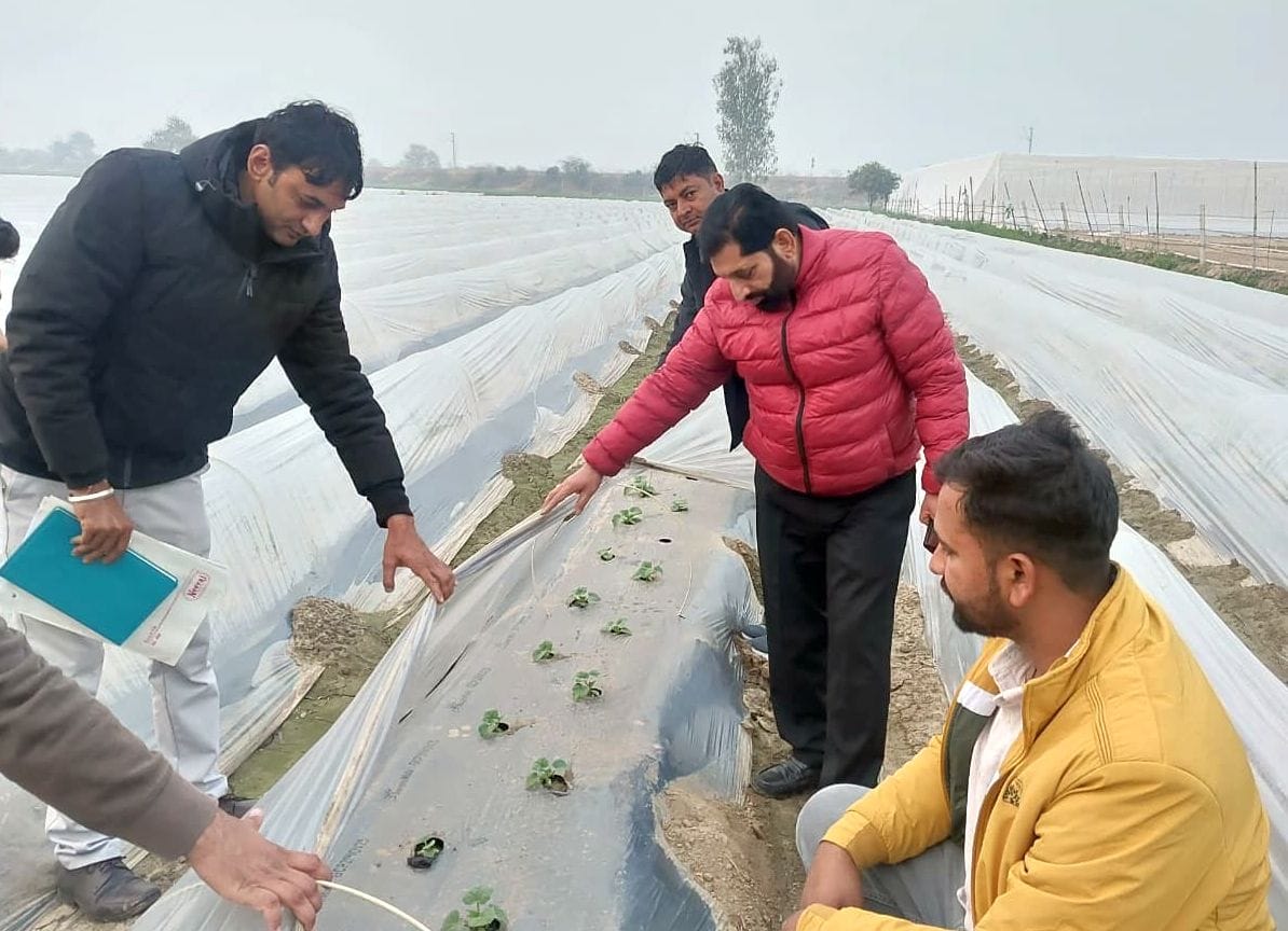 The Director of Horticulture, Haryana state, paid a visit.