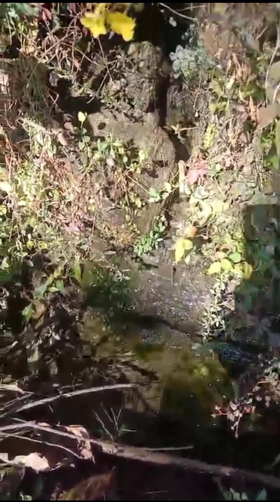 Water has been leaking from the pipeline for two years, increasing the risk of landslides.
