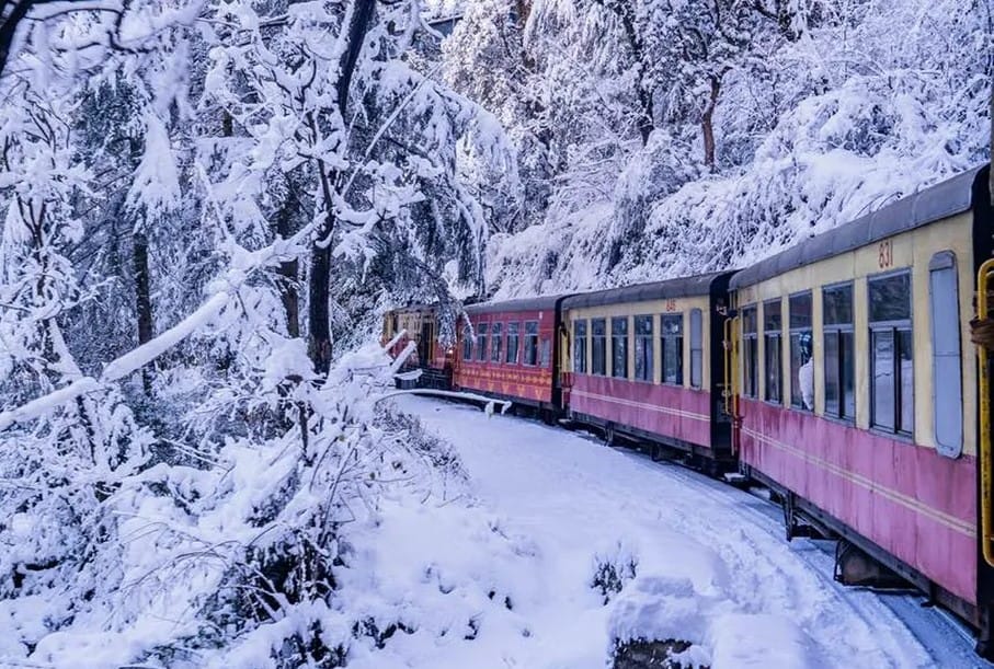 Kangra Valley Toy Train: India's longest toy train route resumes operations, check fare and timing details