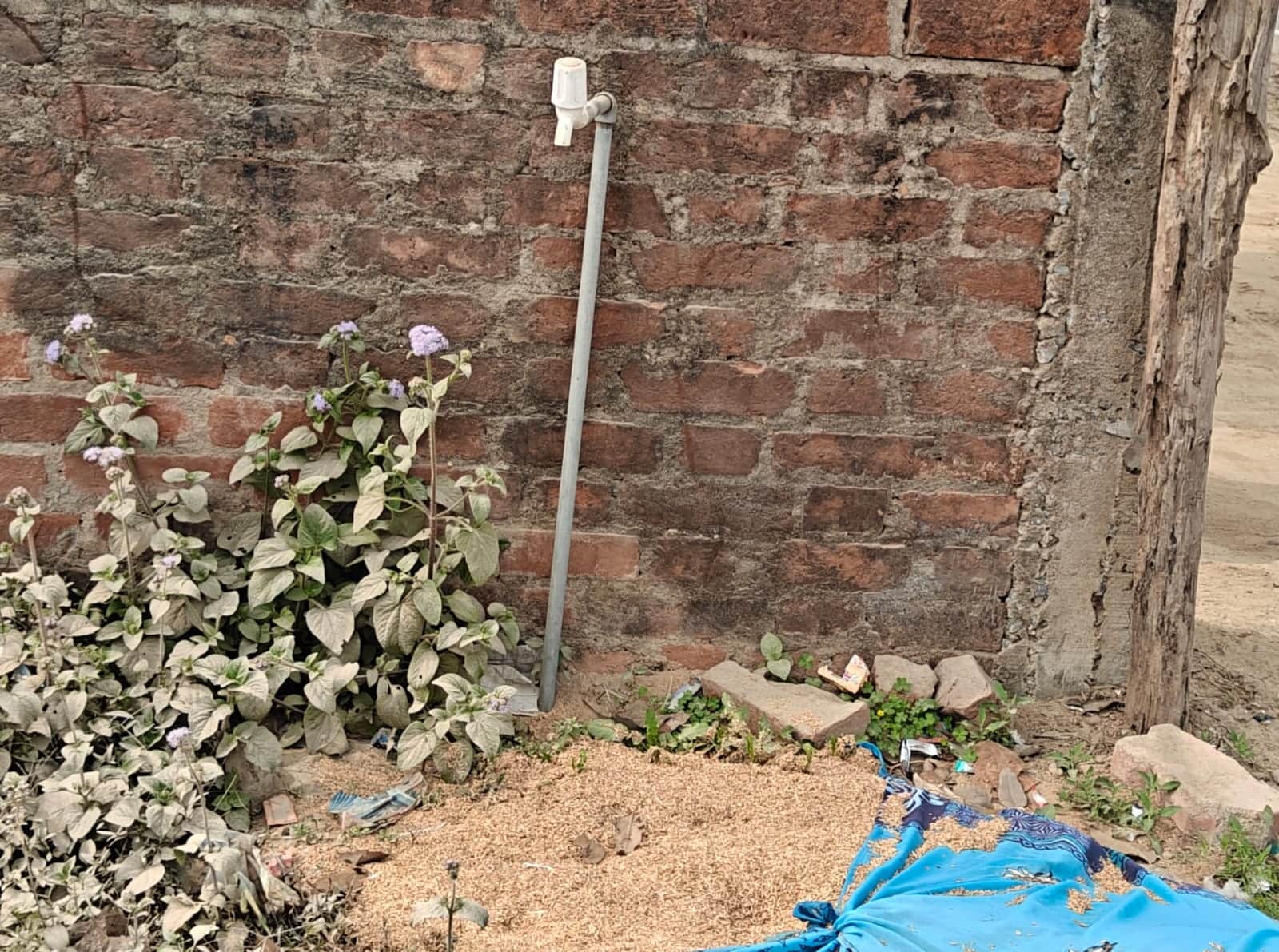 जैन मंदिर रोड पर नट बस्ती के पास दिखावा बना जल निगम का लगा टोटी, स्रोत संवाद