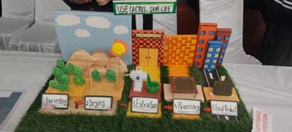 Cactus leather gains traction, Tejas-Cactus Formation shows new avenues of innovation