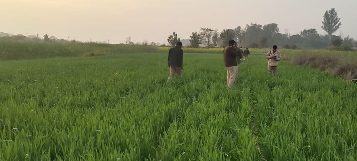 Severed human hands and feet were found in a plastic bag in the field.