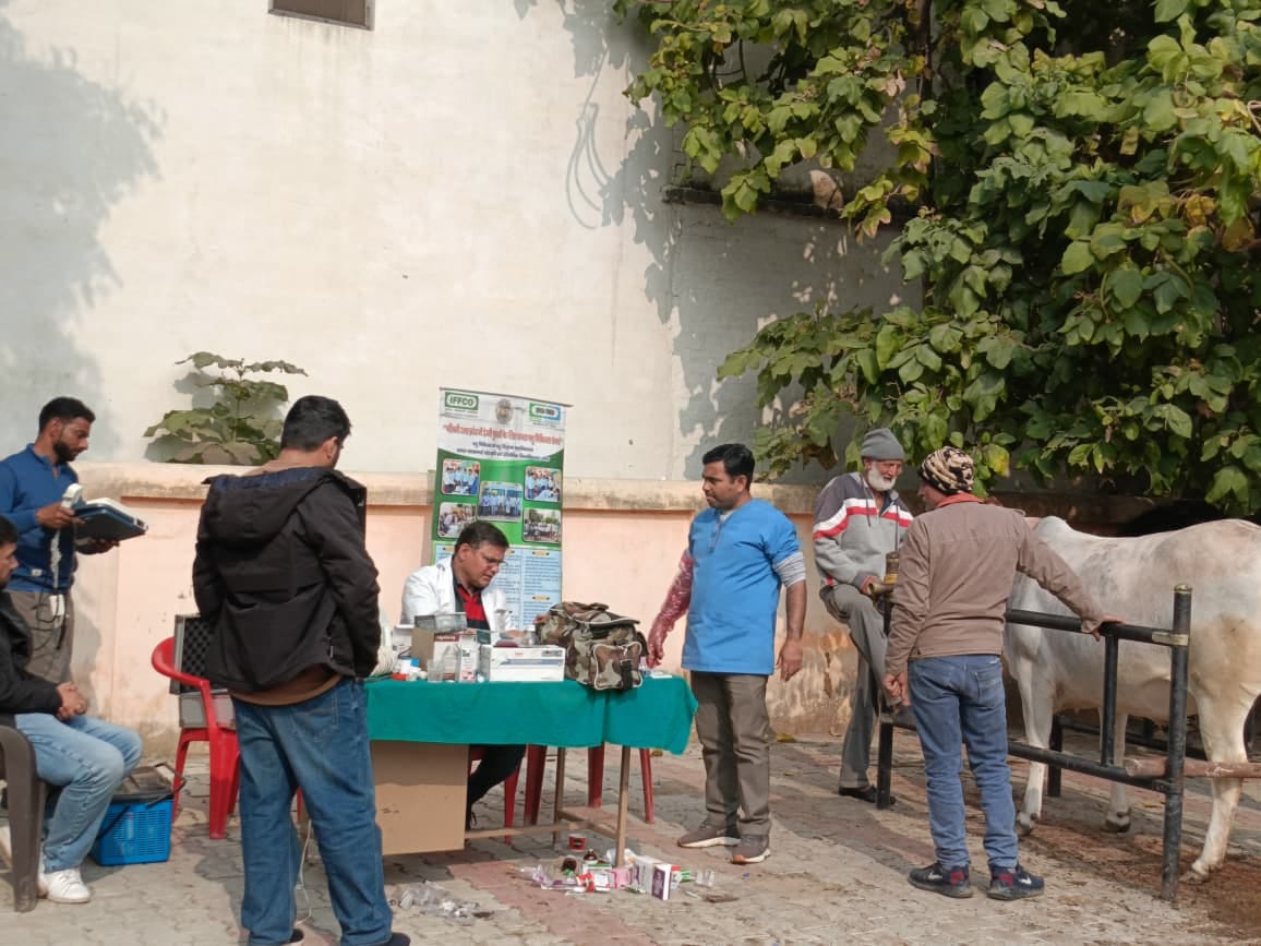 147 animals were treated at the camp.