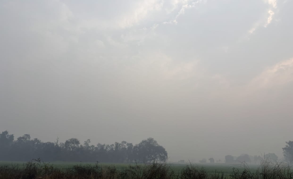 Weather: In 24 hours, the maximum temperature has dropped by 7 degrees, and the minimum by 3.2 degrees.