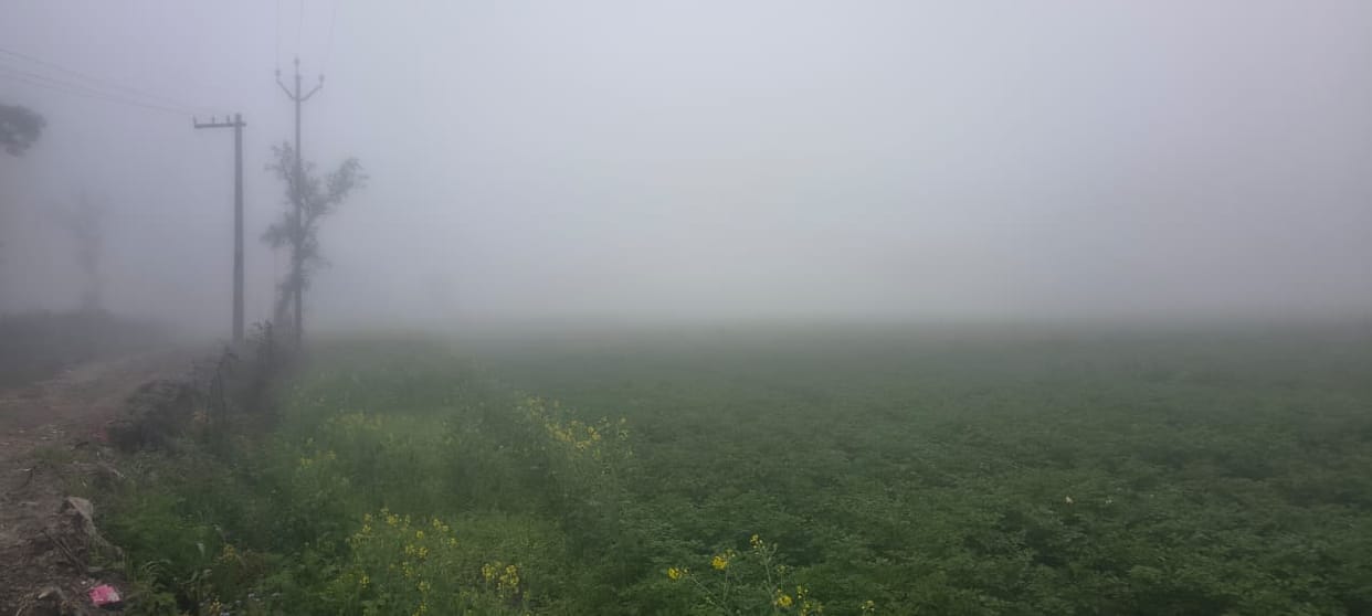 Clouds prevailed throughout the day, cold winds disrupted normal life