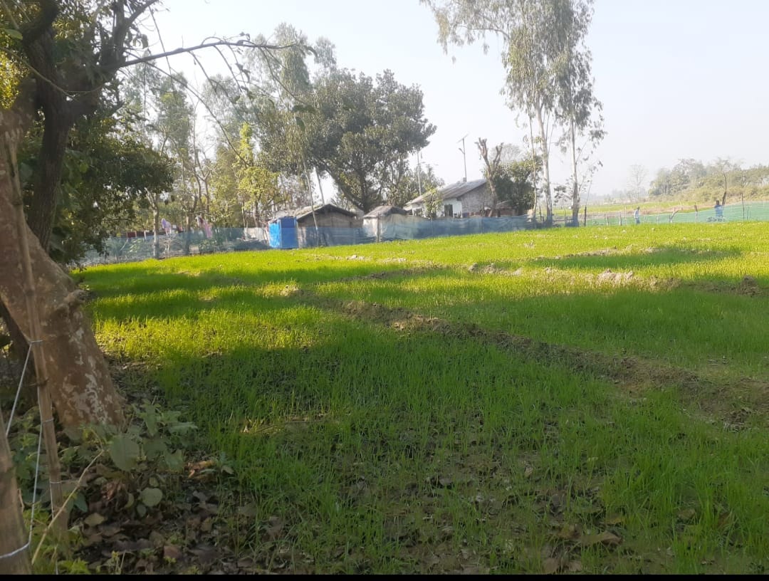 Encroachments will be removed from government land in the 15 km area along the India-Nepal border.