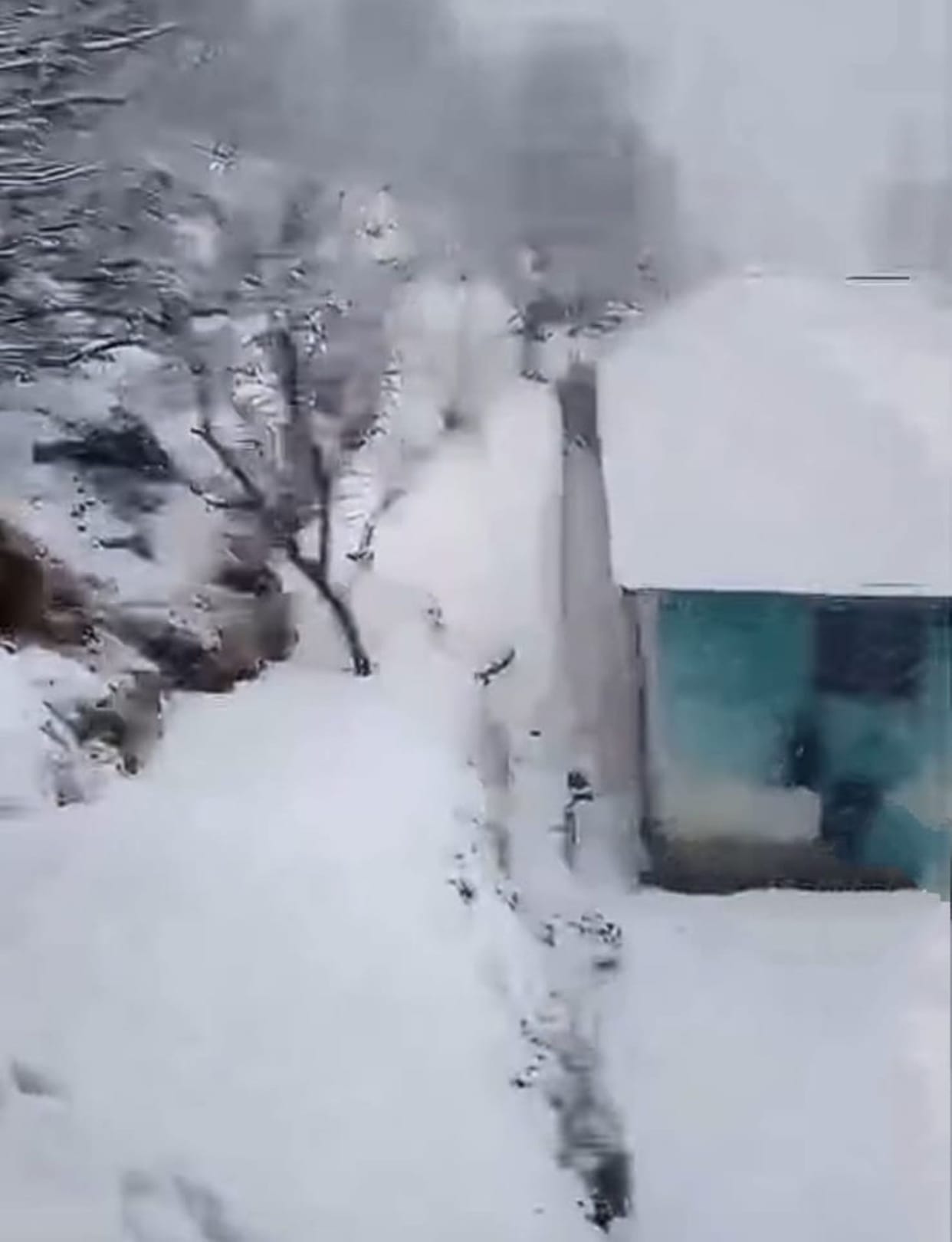 Snowfall in the upper reaches, rain in the lower areas throughout the day
