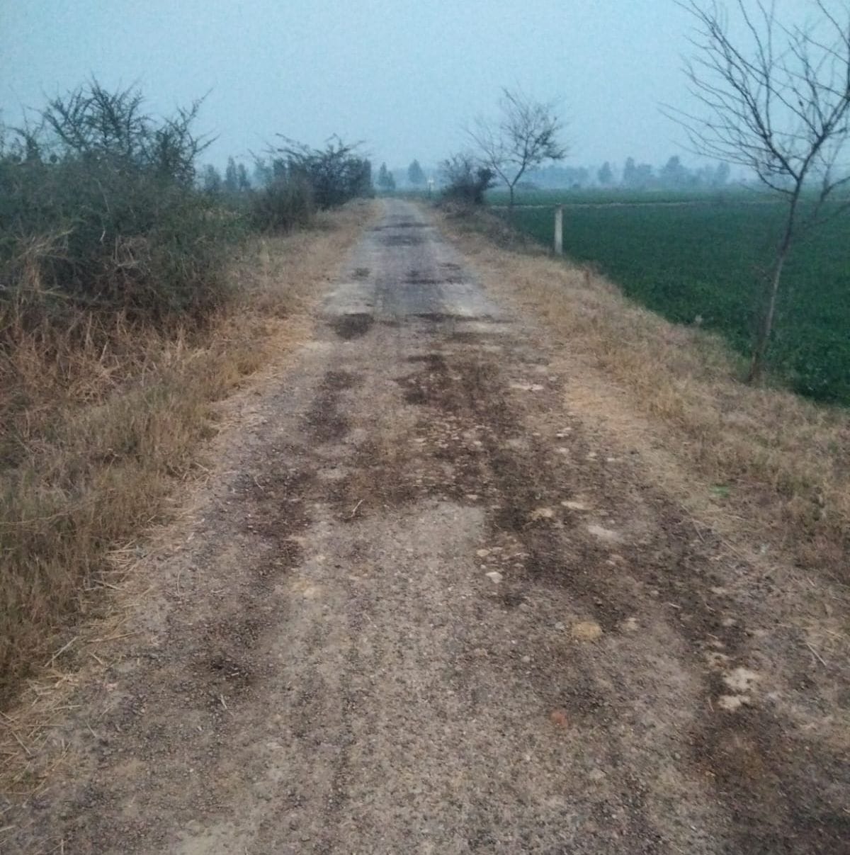 Three roads will be repaired with Rs 1.87 crore.