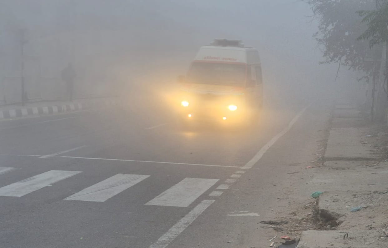 Dense fog halts speed again