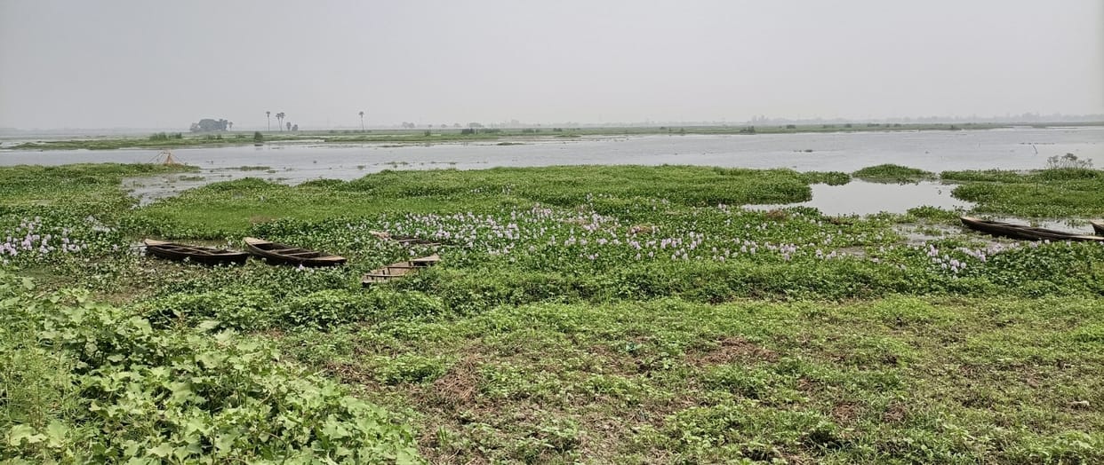 Salona Tal will see better days, will be included in 'One District-One Wetland'
