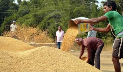 Only 55 percent of paddy was purchased in Samastipur
