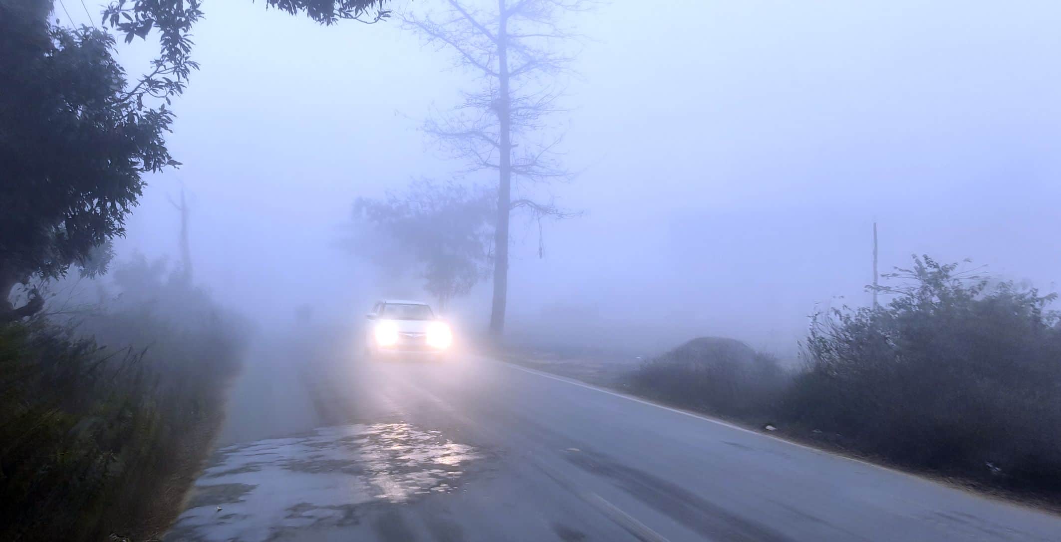 सिरौलीगौसपुर के कोटवाधाम क्षेत्र में घने कोहरे के बीच निकलते वाहन।