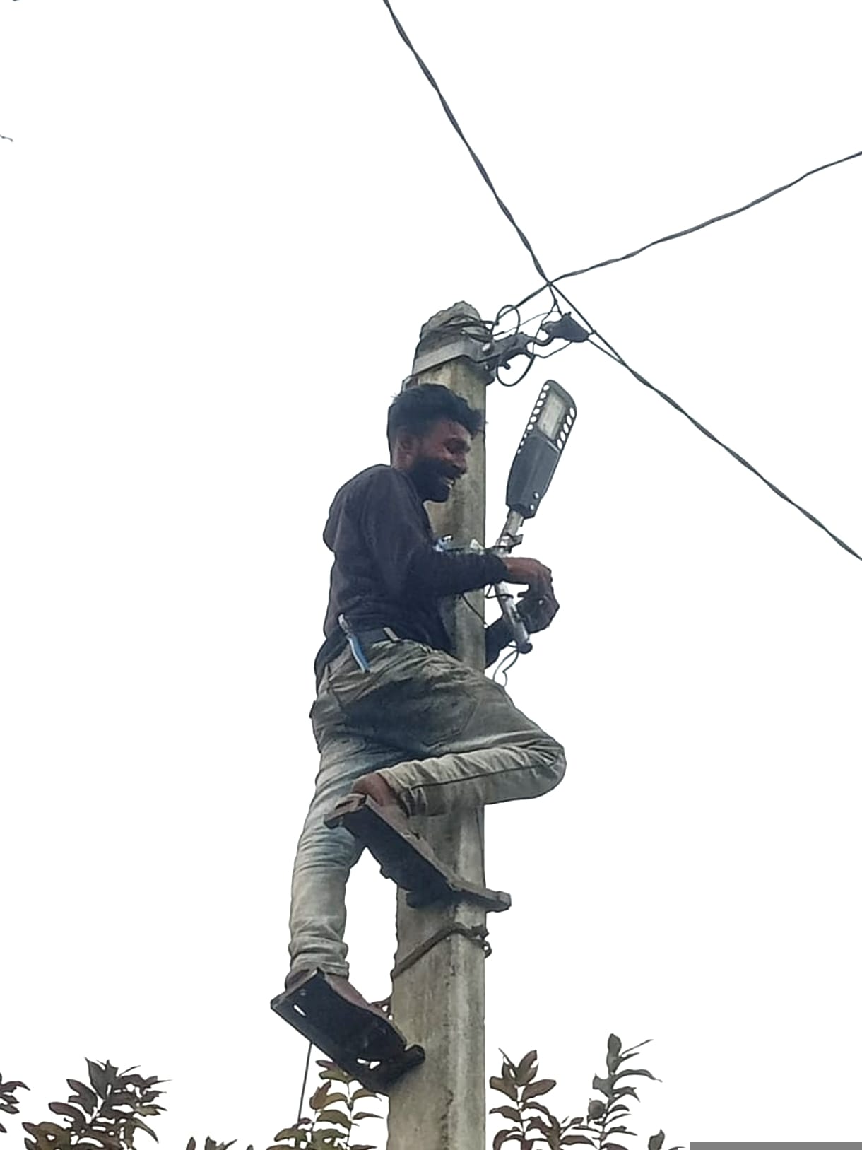 900 streetlights will be installed in 43 villages adjacent to Dudhwa