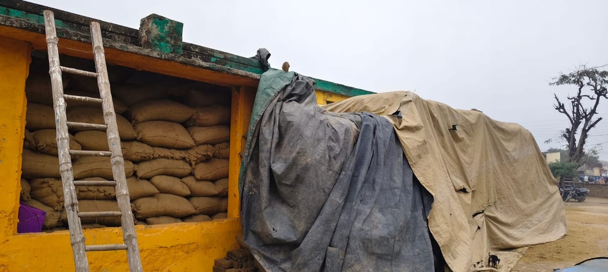 Paddy is being stored in the open at PCF procurement centers.