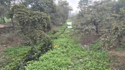 Baghar drain has been selected under the 'One District, One River' initiative.