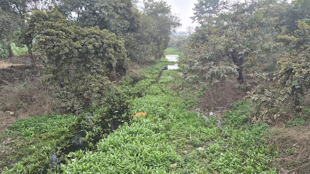 Baghar drain has been selected under the 'One District, One River' initiative.
